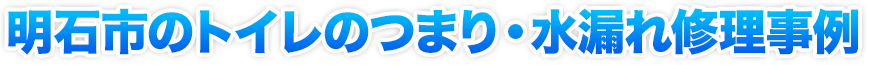 トイレのつまり・水漏れ修理事例