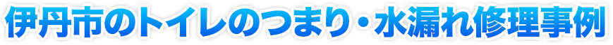 トイレのつまり・水漏れ修理事例