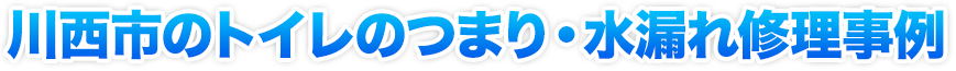 トイレのつまり・水漏れ修理事例