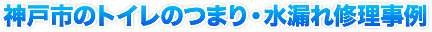 トイレのつまり・水漏れ修理事例