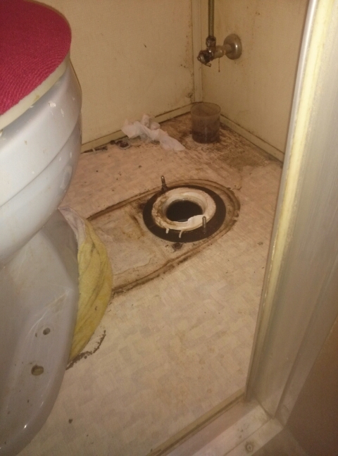 トイレ側にはなにも詰まっていない状態で、排水管の中に水が貯まっていました。
