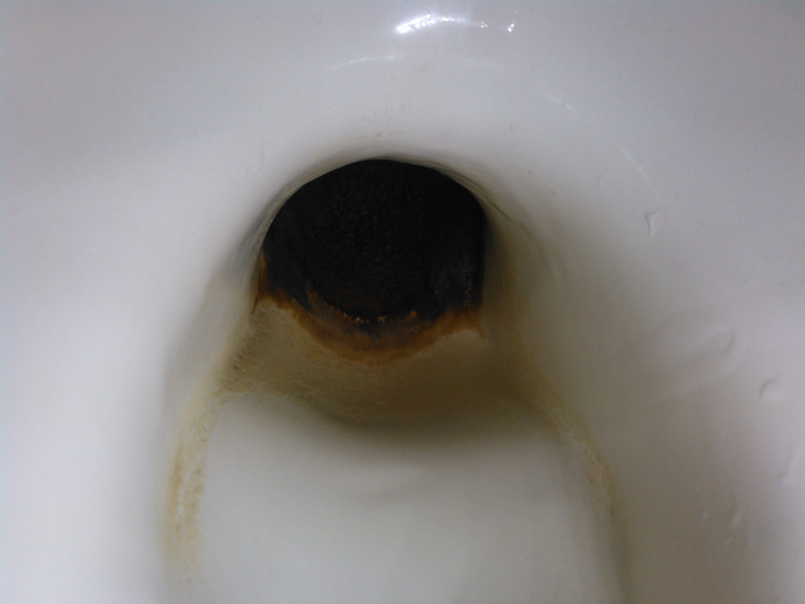 トイレの封水(下水から臭いや虫を予防する水)の底の部分に尿石が貯まっていました。