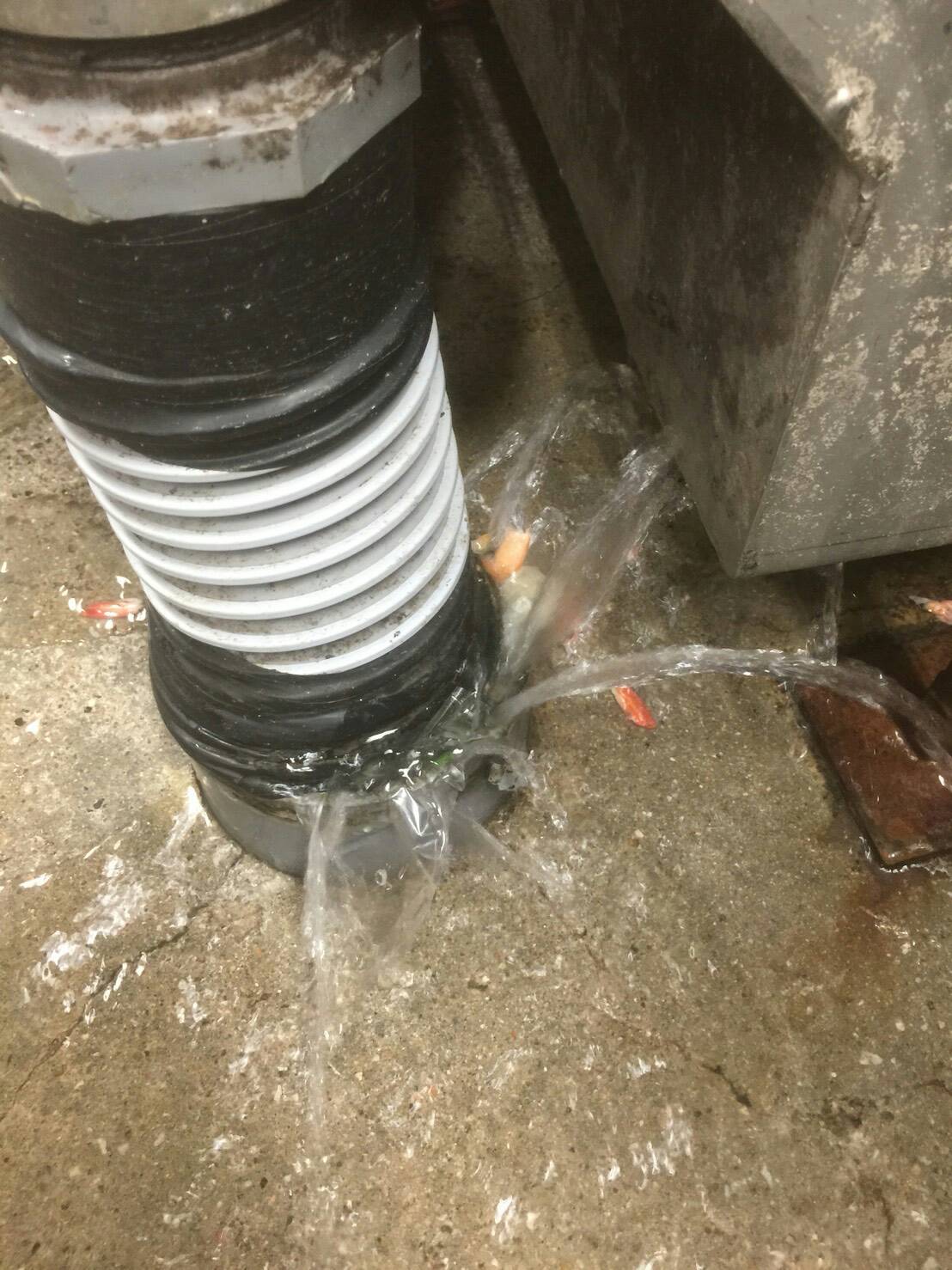 姫路市のお客様から排水管詰まりのご依頼を頂きました。
