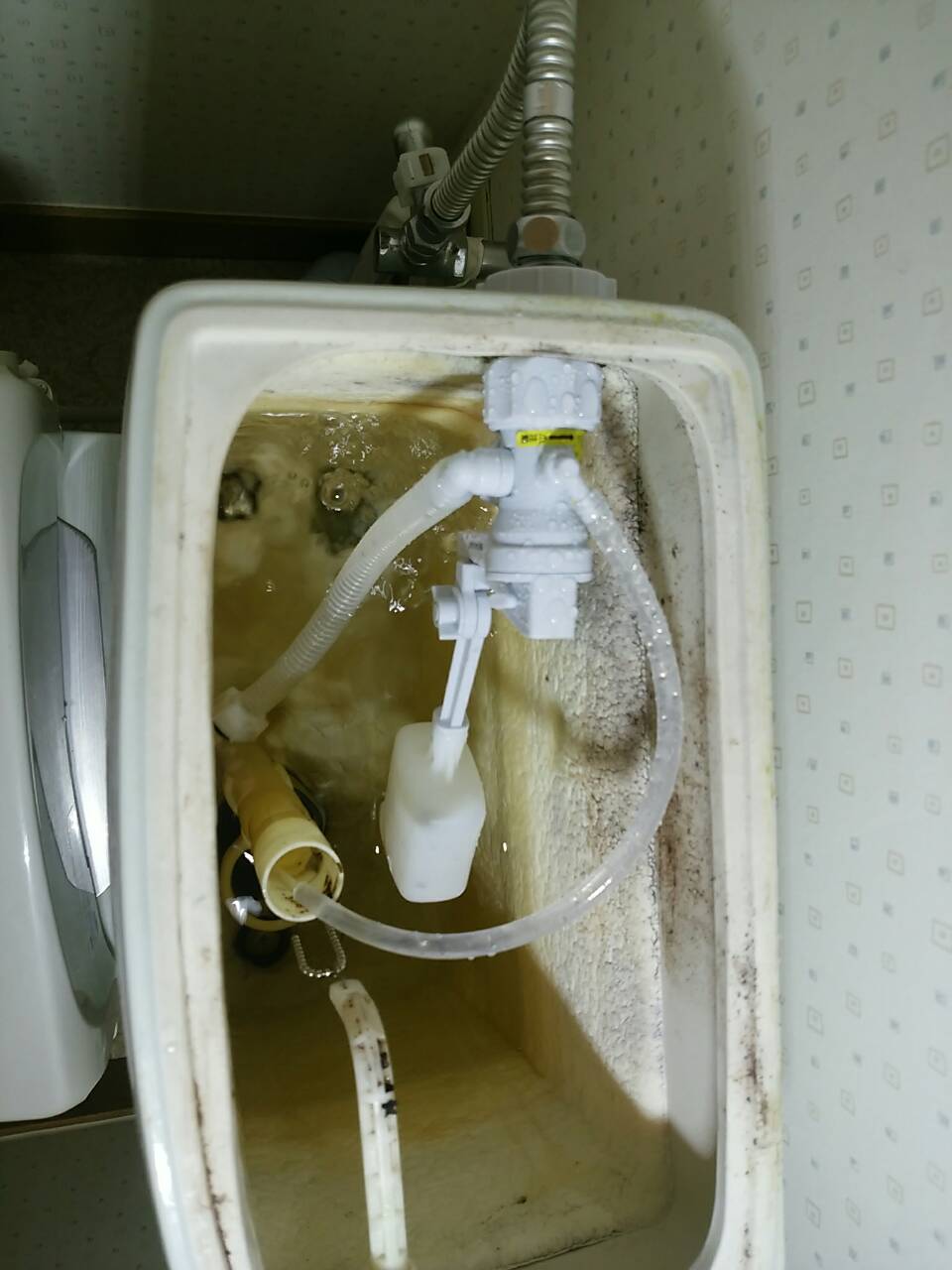 トイレタンクの部品を交換し、水漏れを解決